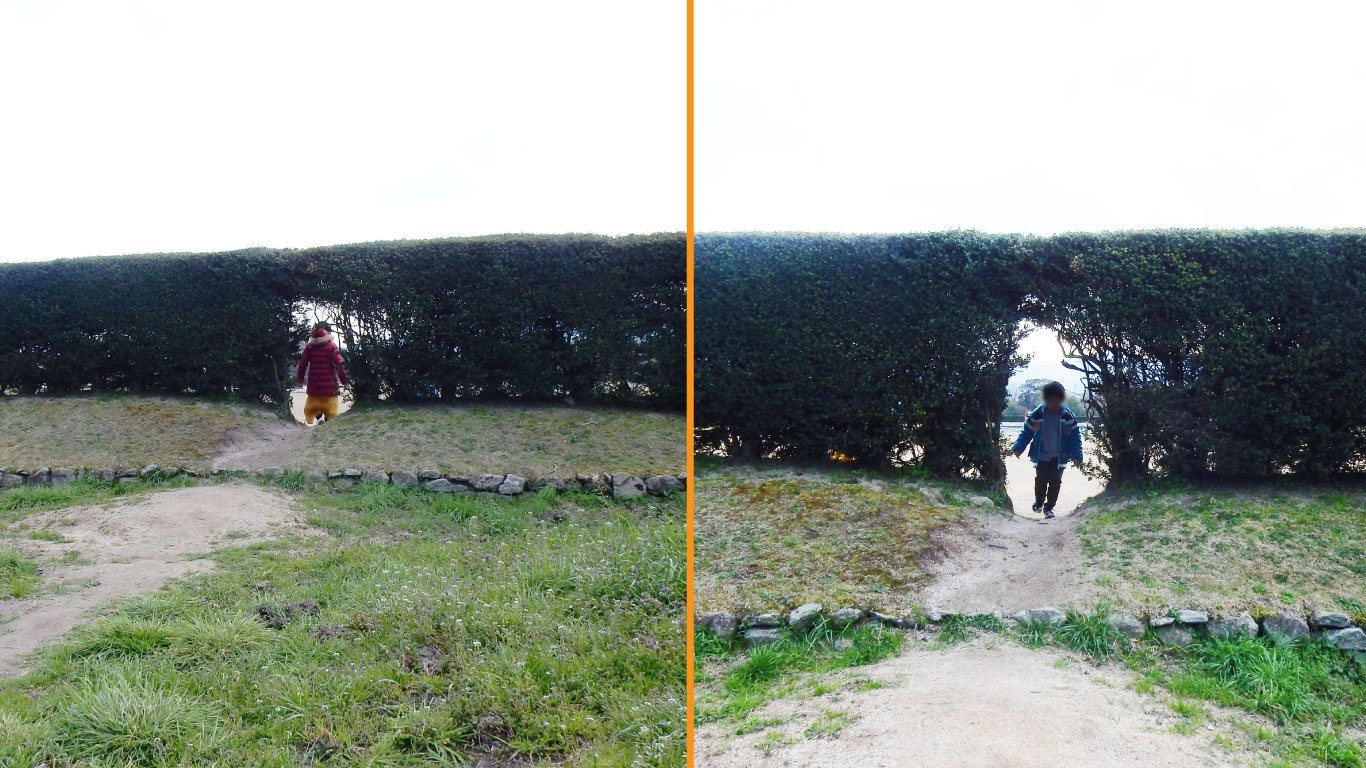 史跡公園の生け垣の間にできた小さな通り道