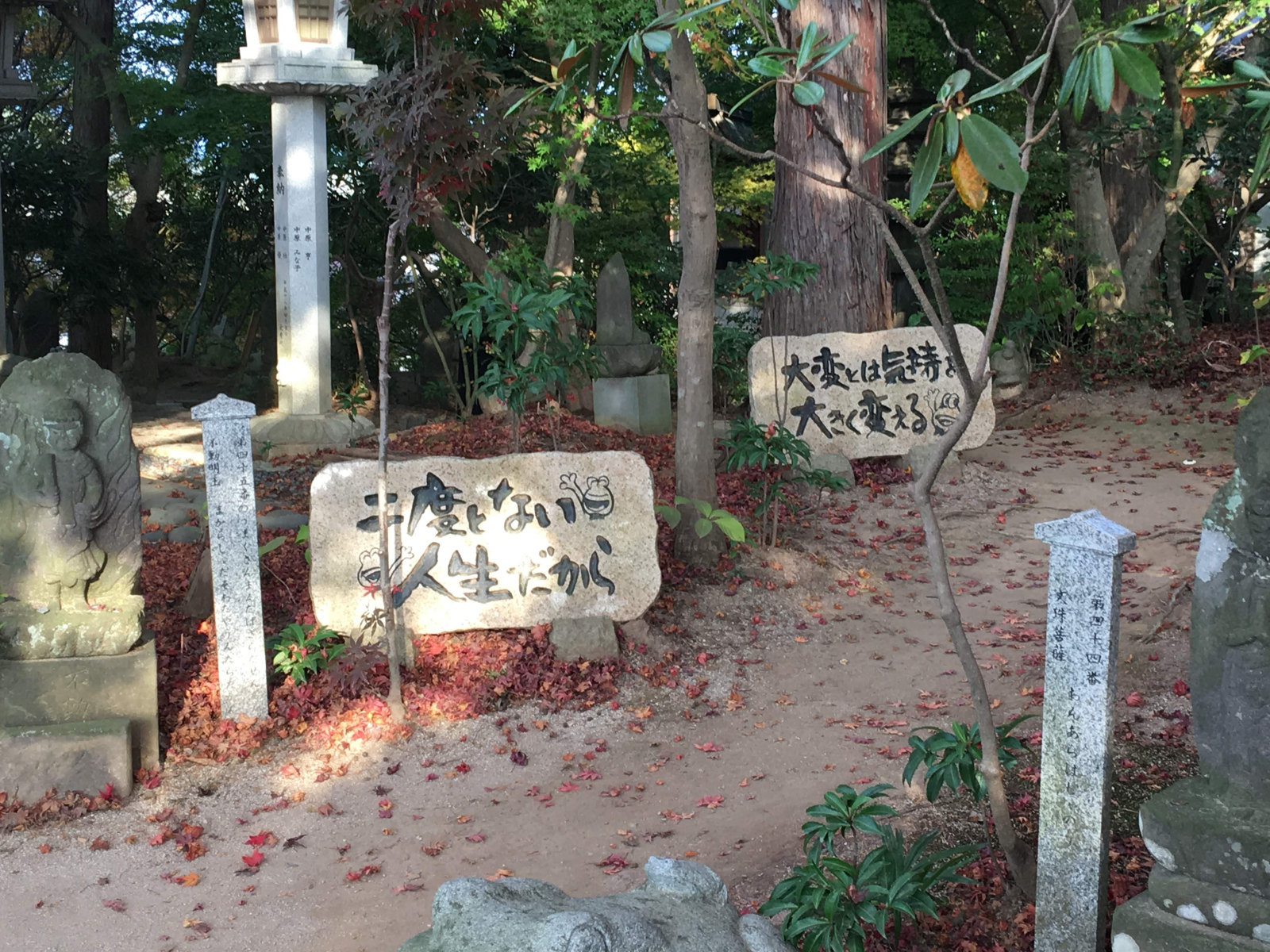 かえる寺の木々の中の散策路と案内板