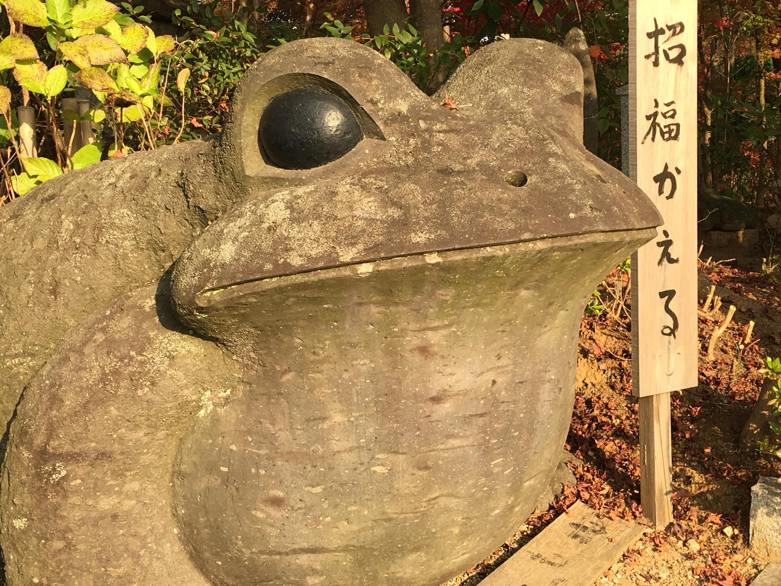 如意輪寺の招福かえるの石像