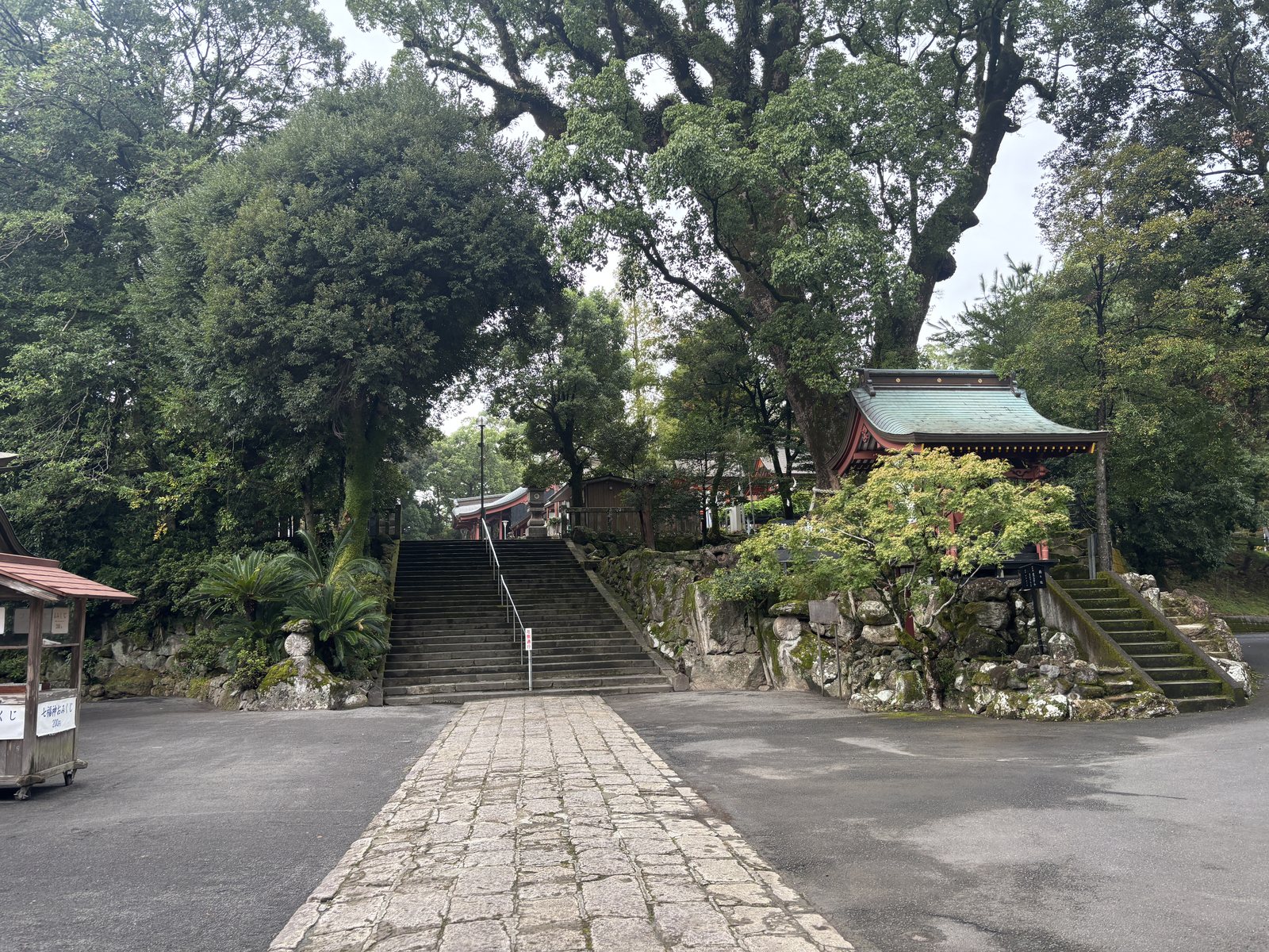 鹿児島神宮の木々に包まれた参道と石段