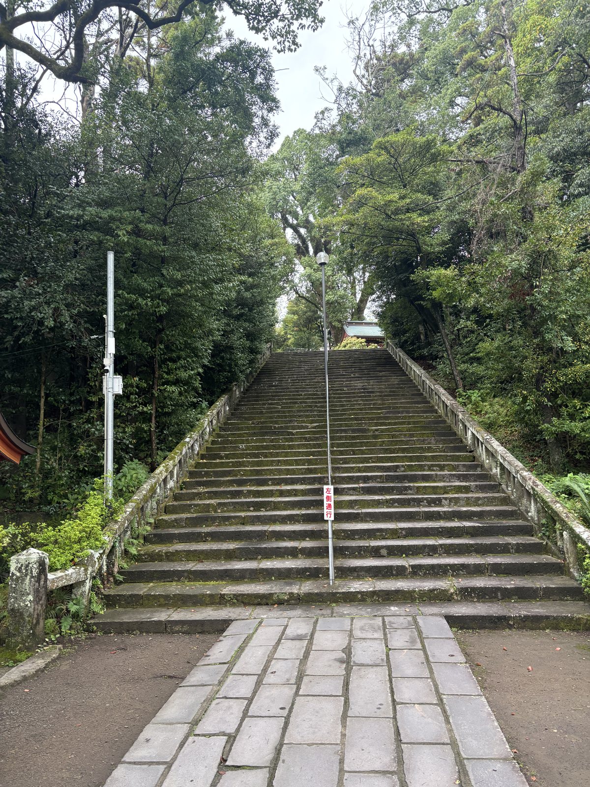 鹿児島神宮の緑に囲まれた長い石段