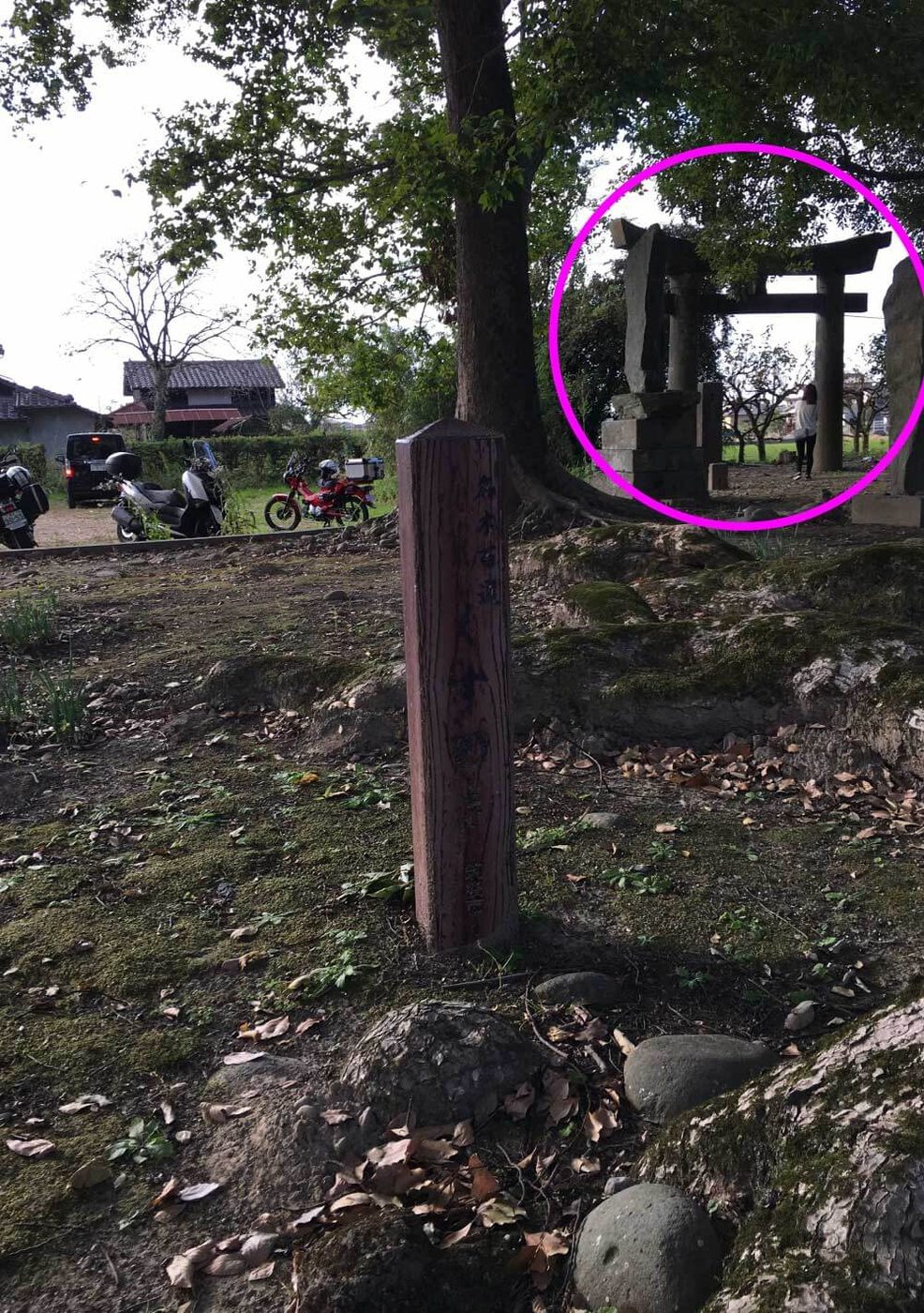駐車場の奥にある別の鳥居に丸印を付けた写真