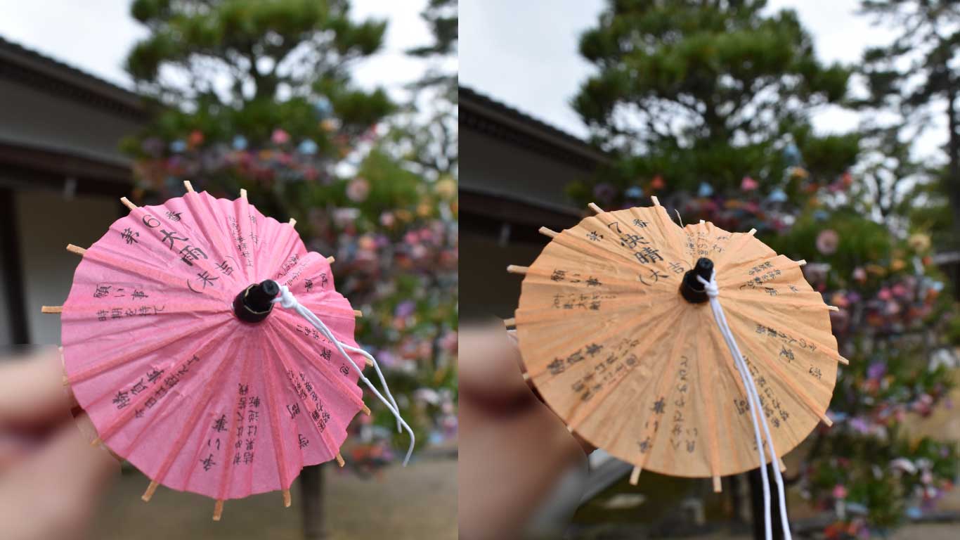 傘みくじの結果