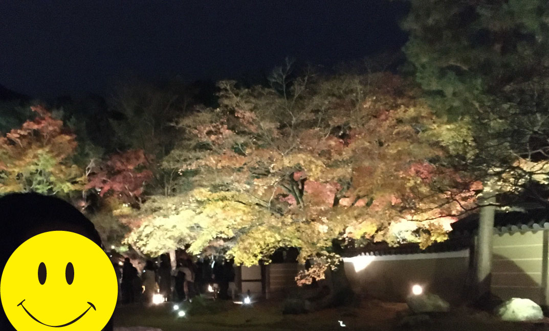 高台寺の夜間ライトアップ
