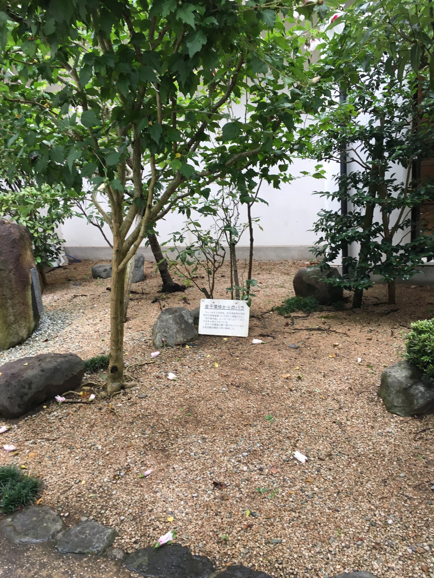 金子みすゞ記念館の庭にある木と石碑