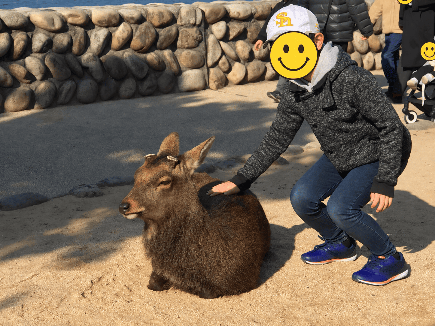 宮島の鹿のそばでかがむ子どもの写真