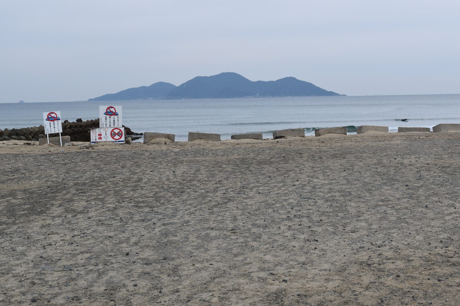海浜公園から望む大島