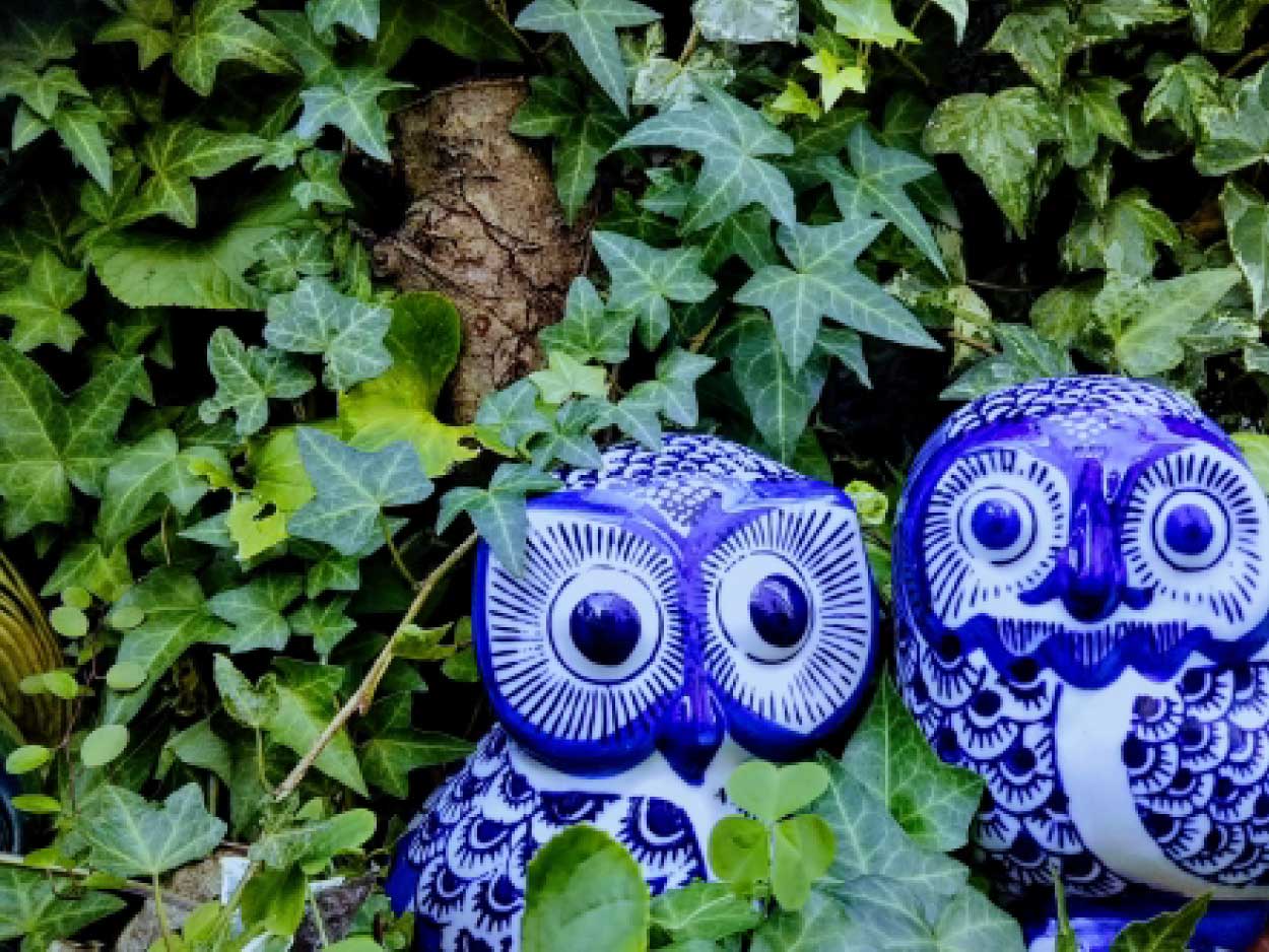 植物に囲まれた青いフクロウの置物