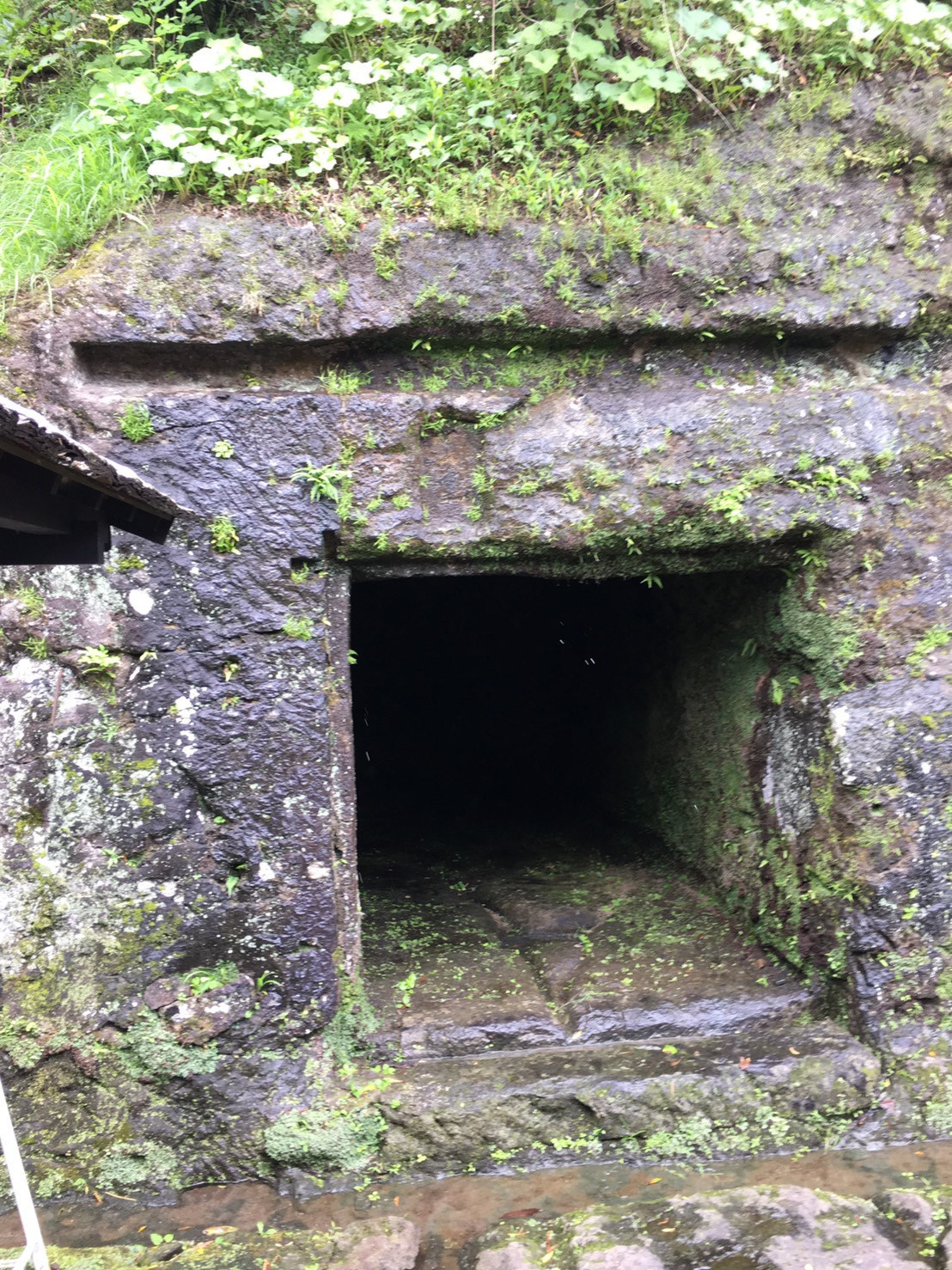 瀧廉太郎記念館の庭に残る馬小屋として使われた岩穴