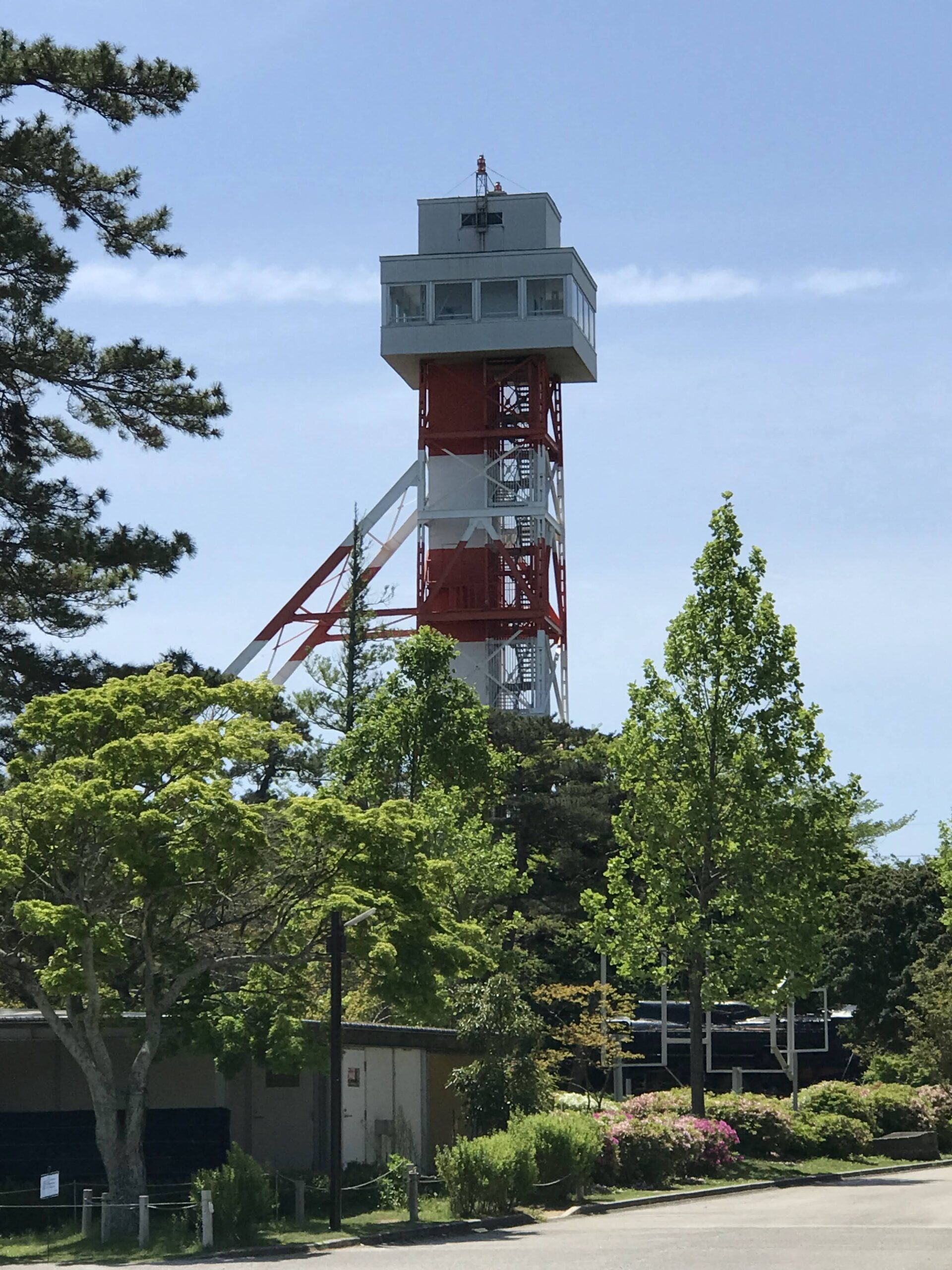 ときわ公園の緑の向こうに見える赤白の展望台