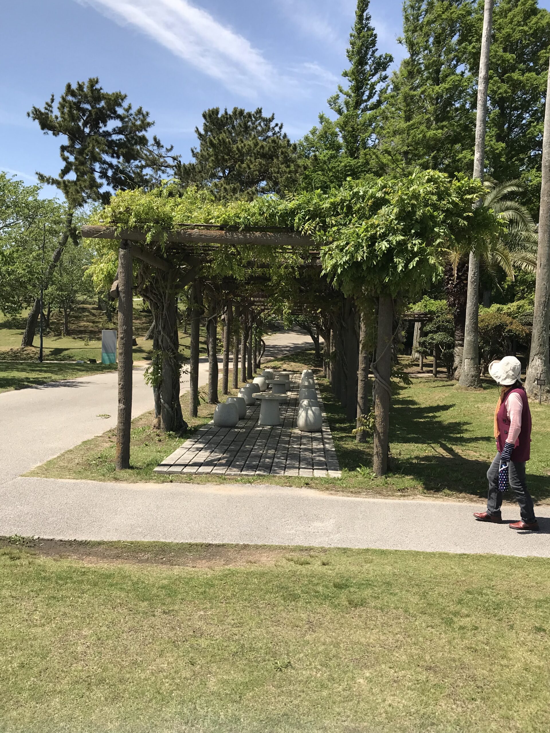 ときわ公園の緑に覆われた木陰の遊歩道