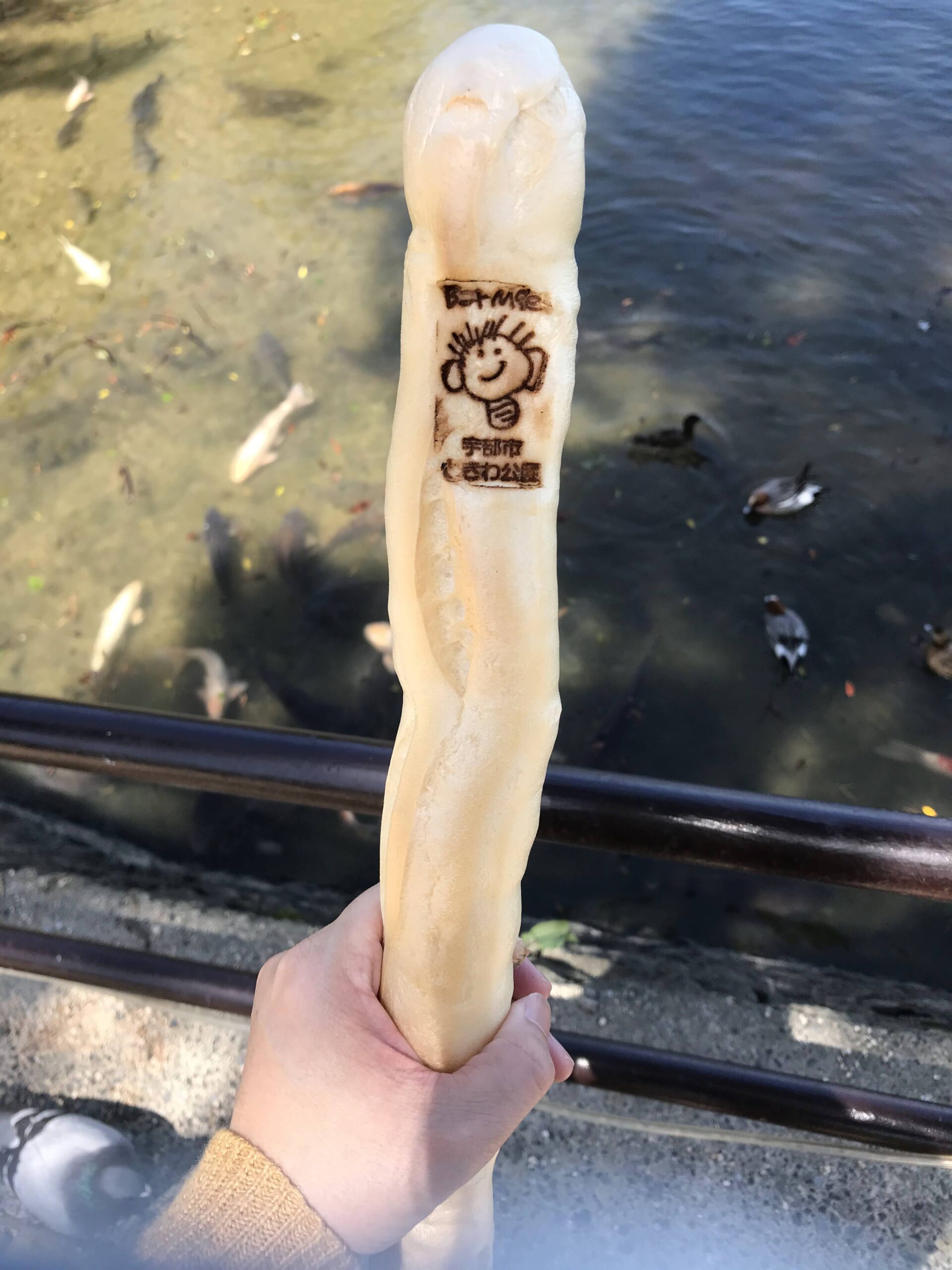 ときわ公園の焼き印が入った細長い鯉のえさと常盤湖の水辺